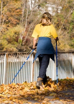 Mielec: praktyczna nauka nordic walking