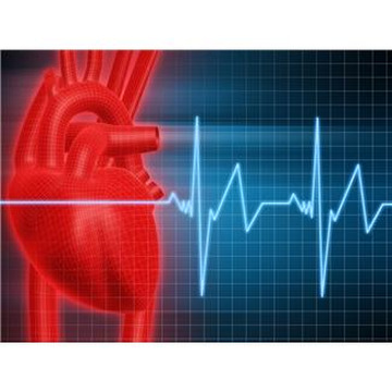 Myszków: cholesterol – przyjaciel czy wróg?